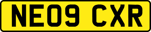 NE09CXR