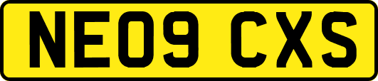 NE09CXS