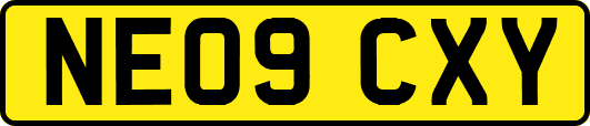 NE09CXY