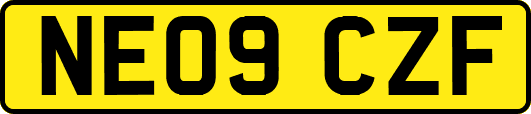 NE09CZF