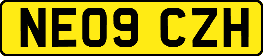 NE09CZH