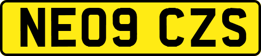 NE09CZS