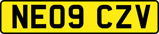 NE09CZV