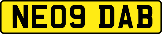 NE09DAB