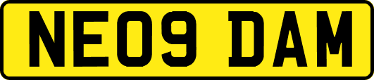 NE09DAM