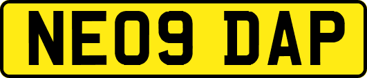 NE09DAP