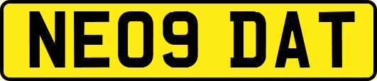 NE09DAT