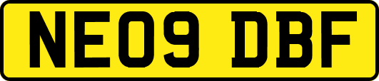 NE09DBF