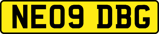 NE09DBG