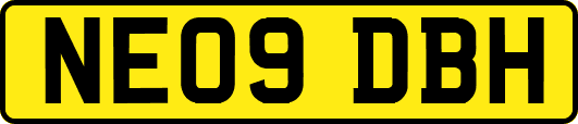 NE09DBH