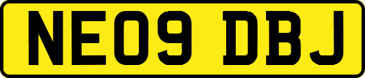 NE09DBJ