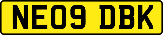NE09DBK