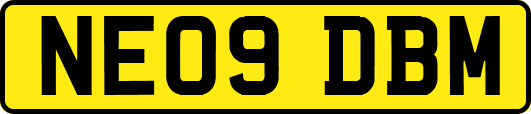 NE09DBM