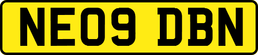 NE09DBN