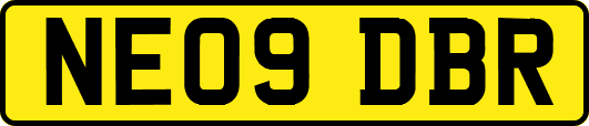 NE09DBR