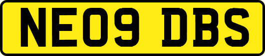 NE09DBS