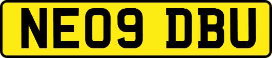 NE09DBU