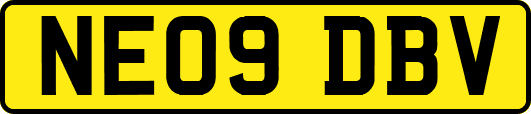 NE09DBV
