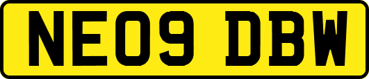 NE09DBW