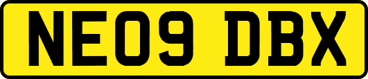 NE09DBX