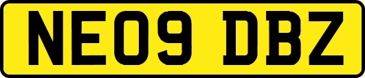 NE09DBZ