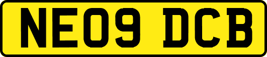 NE09DCB