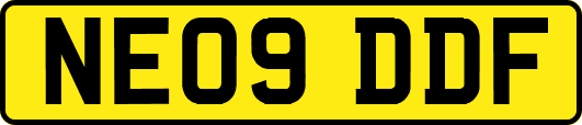 NE09DDF