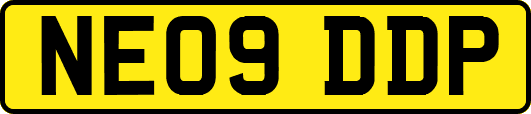 NE09DDP
