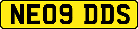 NE09DDS
