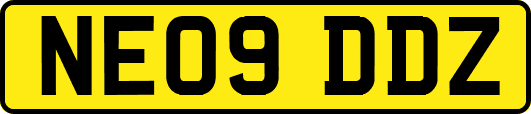 NE09DDZ