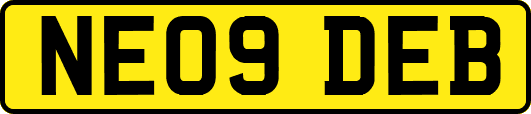 NE09DEB