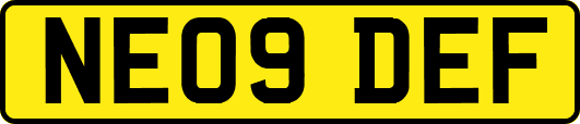 NE09DEF