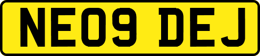 NE09DEJ