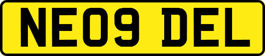 NE09DEL