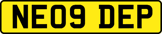 NE09DEP