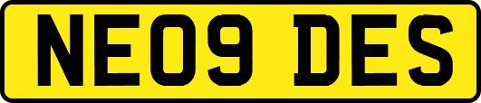 NE09DES