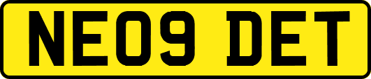 NE09DET