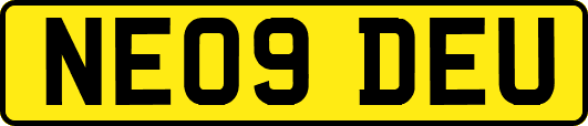 NE09DEU