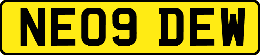 NE09DEW