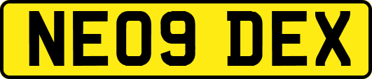 NE09DEX