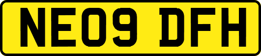 NE09DFH