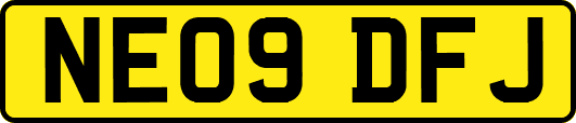 NE09DFJ