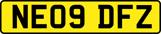 NE09DFZ