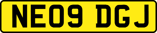 NE09DGJ