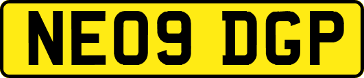 NE09DGP