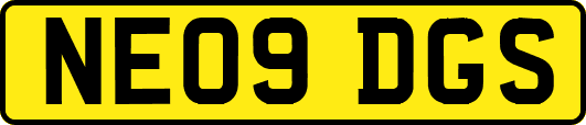 NE09DGS