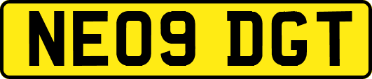 NE09DGT