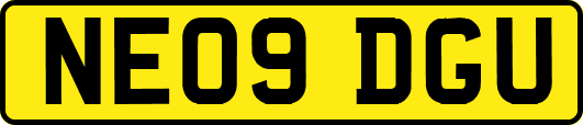 NE09DGU