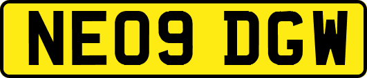 NE09DGW