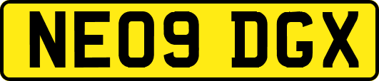 NE09DGX